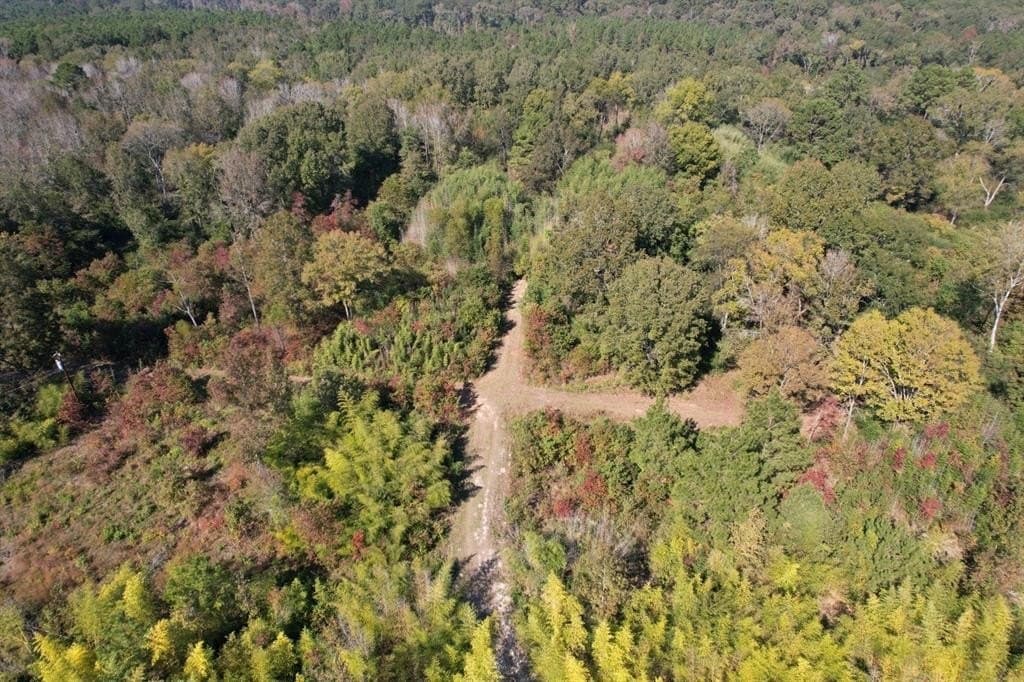34.7 acres in Angelina County - photo 11