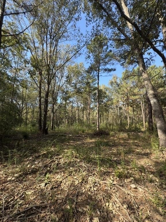 34.7 acres in Angelina County - photo 14