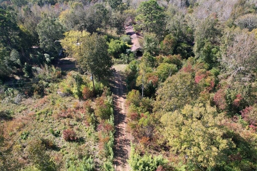 34.7 acres in Angelina County - photo 9