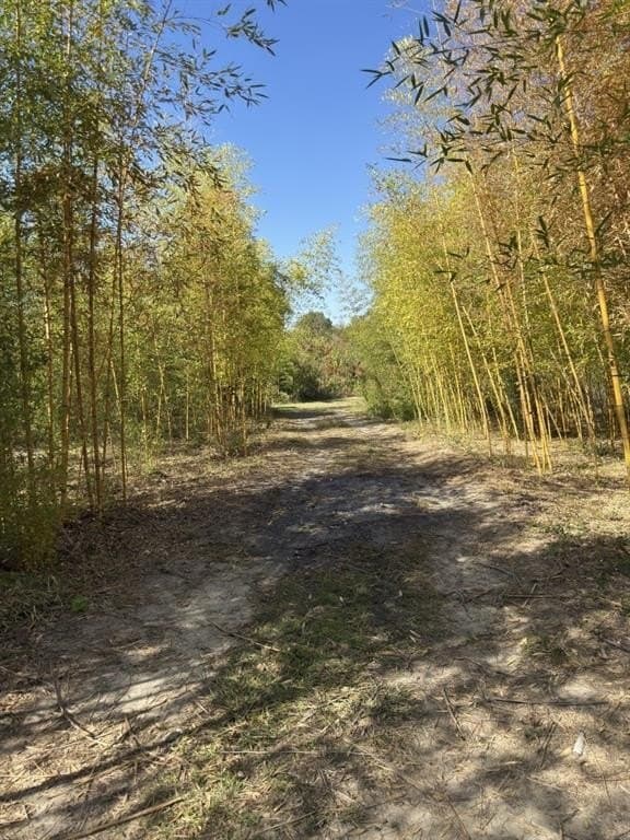 34.7 acres in Angelina County - photo 37