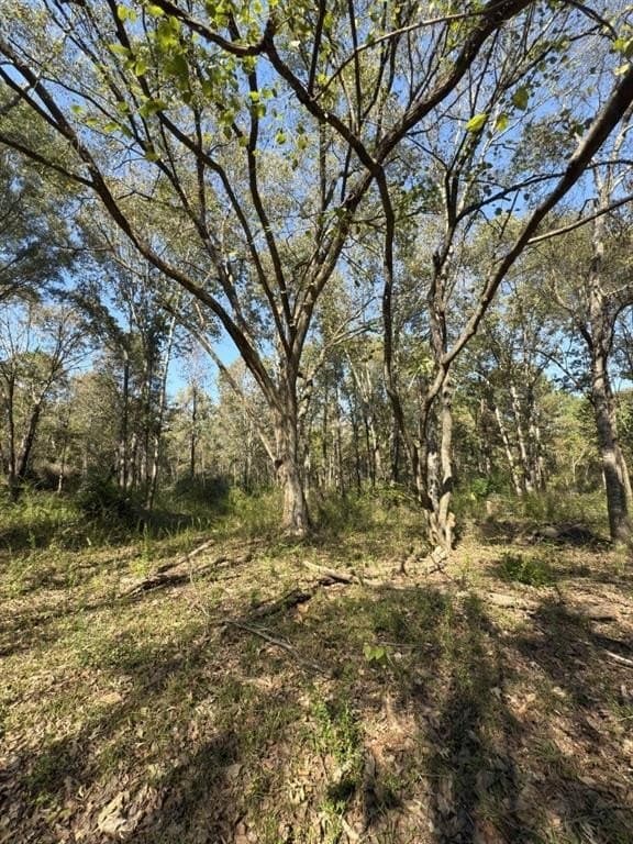 34.7 acres in Angelina County - photo 25