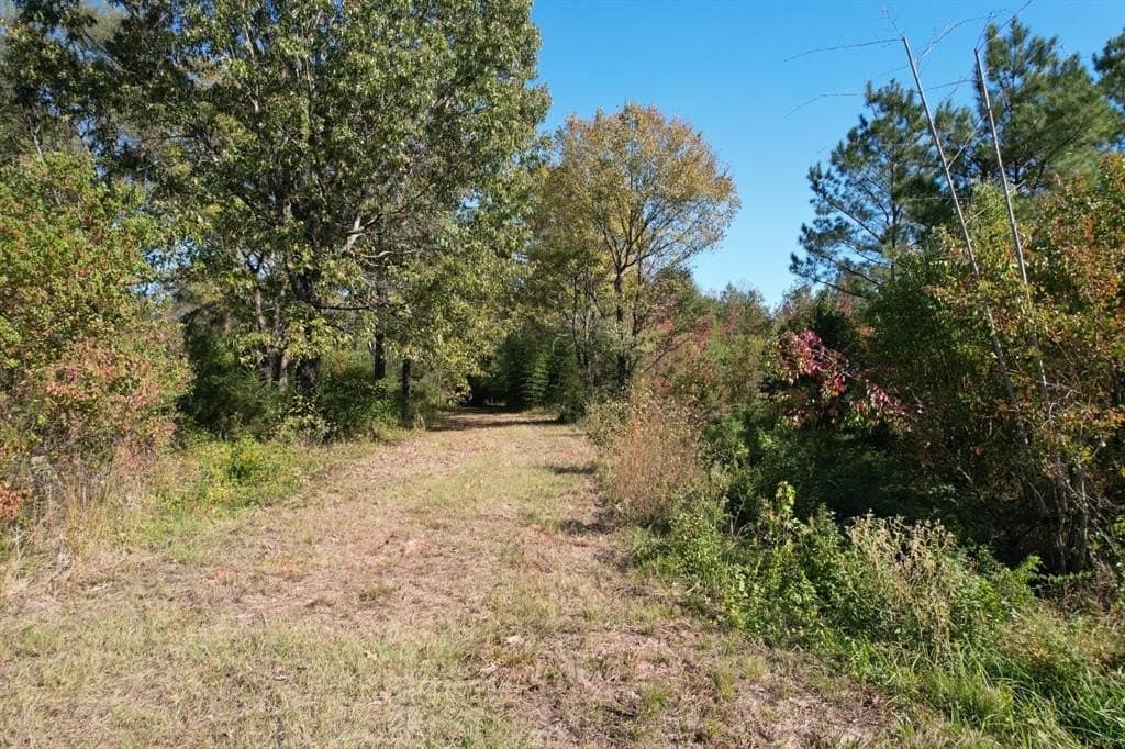 34.7 acres in Angelina County - photo 6