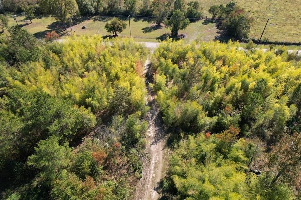 34.7 acres in Angelina County - photo 3