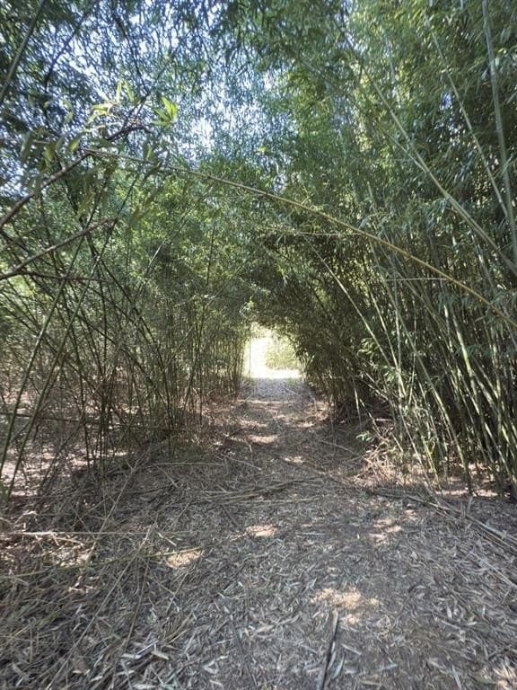 34.7 acres in Angelina County - photo 23