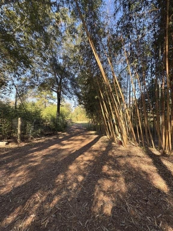 34.7 acres in Angelina County - photo 34