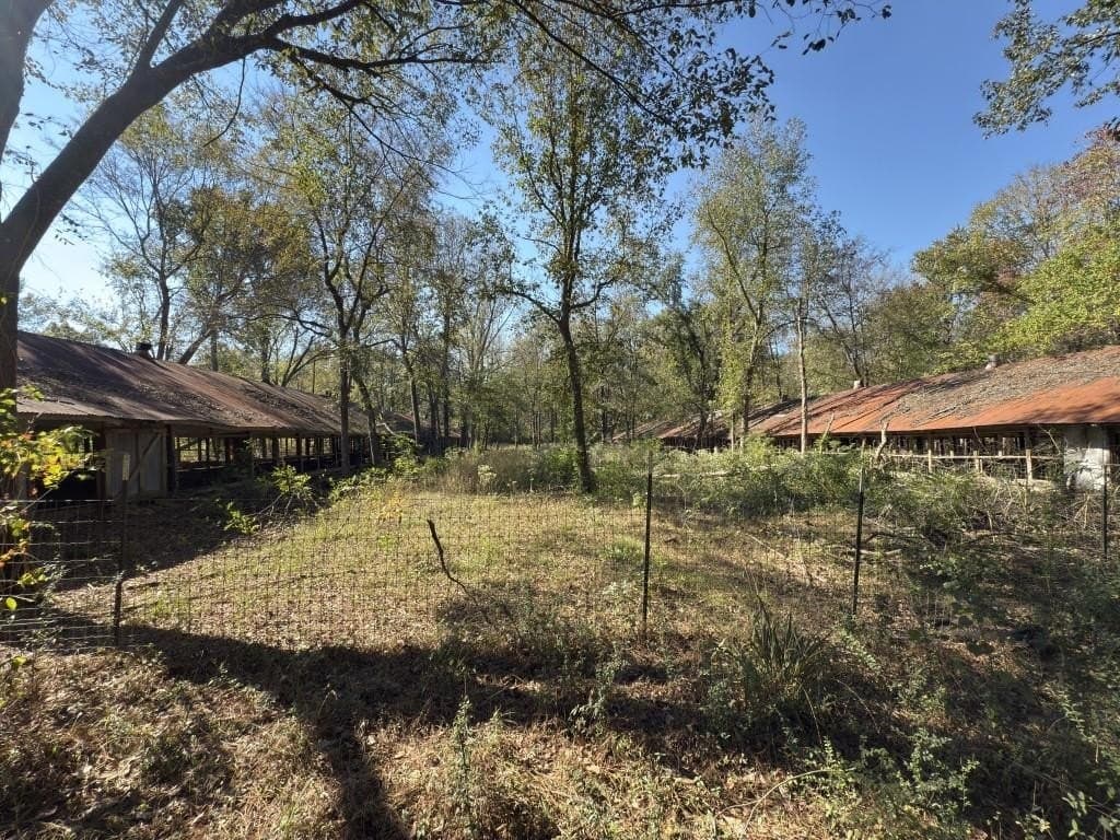34.7 acres in Angelina County - photo 32