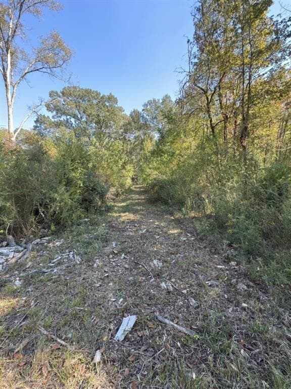 34.7 acres in Angelina County - photo 22