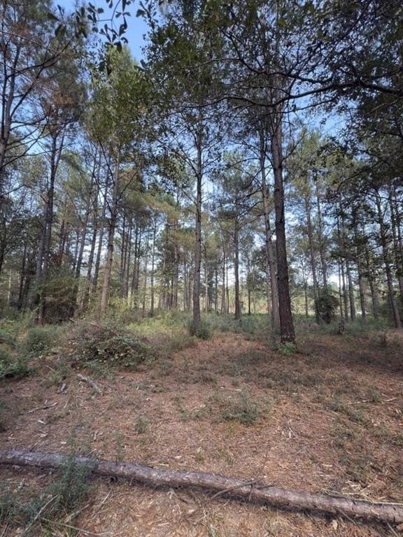 34.7 acres in Angelina County - photo 16