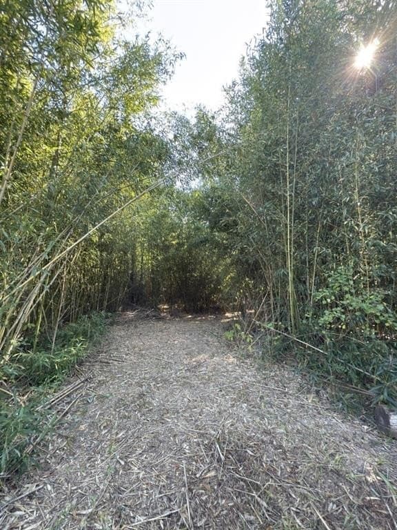 34.7 acres in Angelina County - photo 20