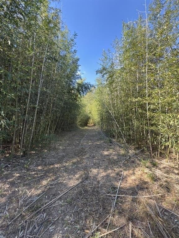 34.7 acres in Angelina County - photo 19