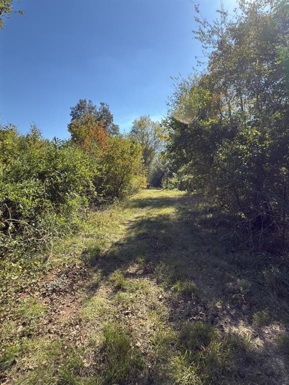 34.7 acres in Angelina County - photo 30