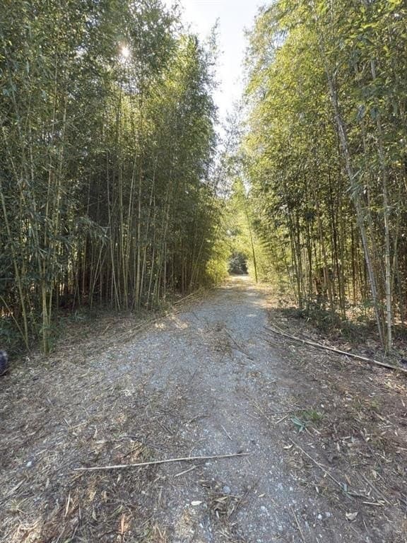 34.7 acres in Angelina County - photo 18