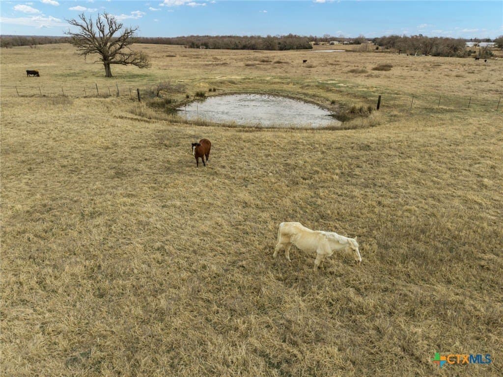 10.05 acres in Robertson County - photo 44
