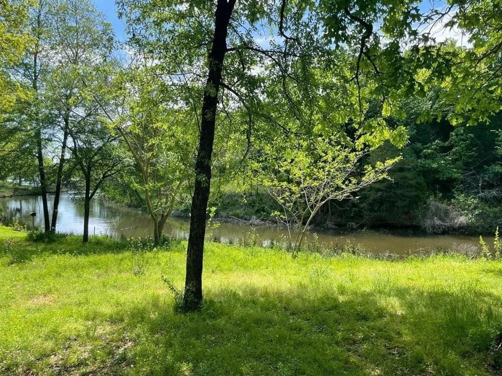 0.14 acres in Henderson County - photo 2