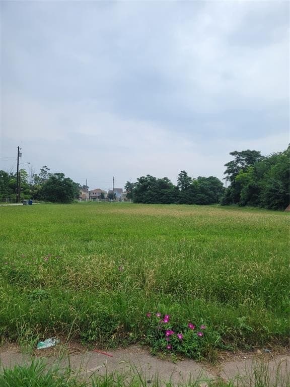 1 acres in Dallas County - photo 14