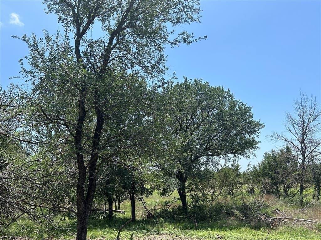 24.31 acres in Mills County - photo 6
