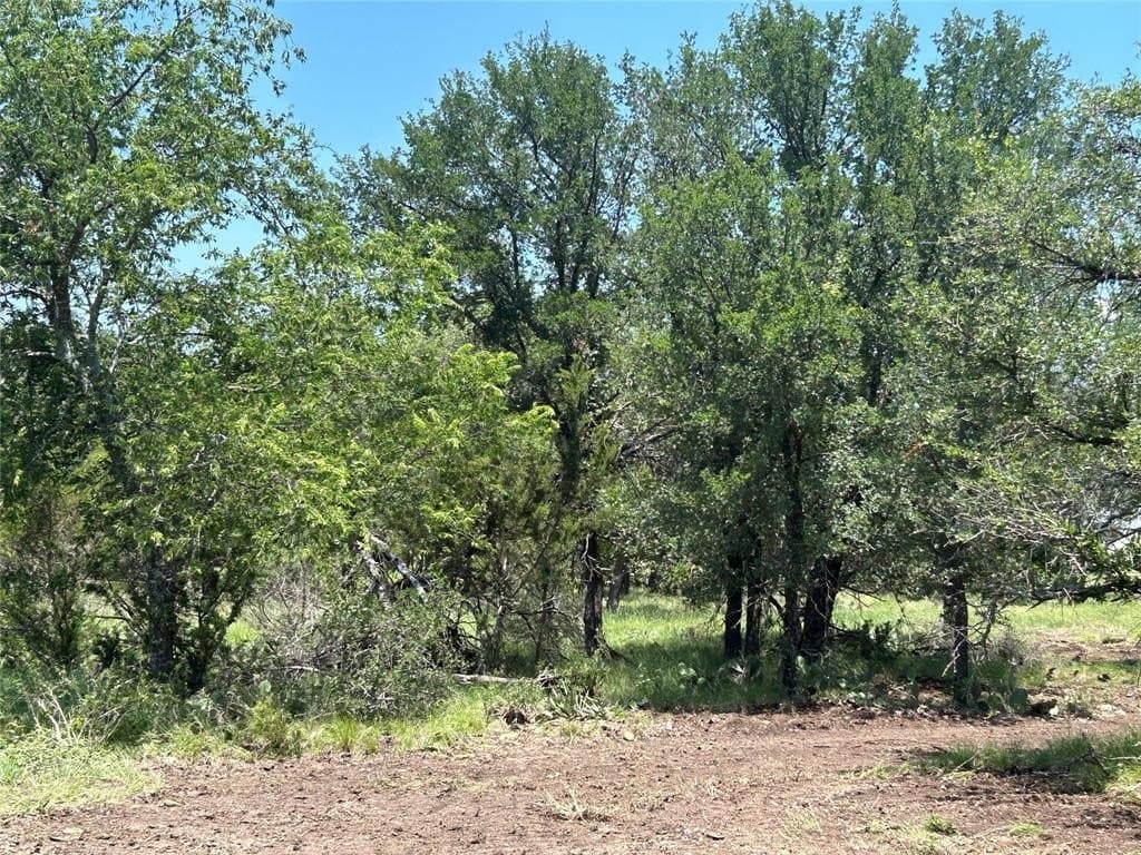24.31 acres in Mills County - photo 5