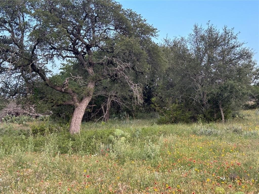 24.31 acres in Mills County - photo 11