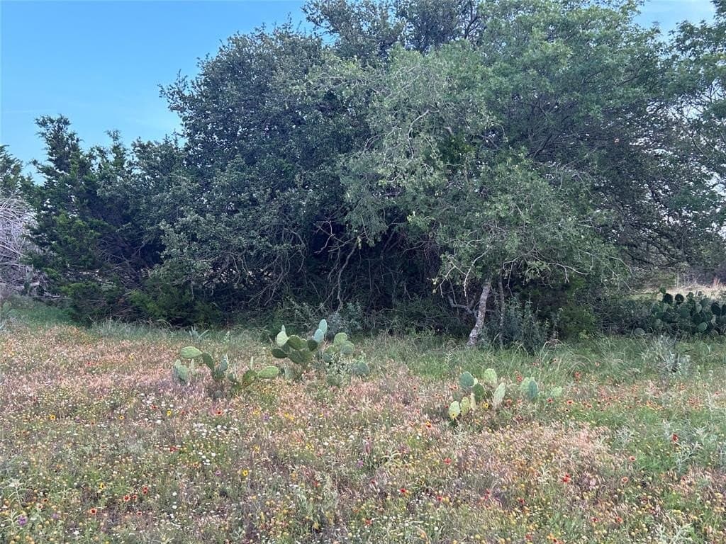 24.31 acres in Mills County - photo 12