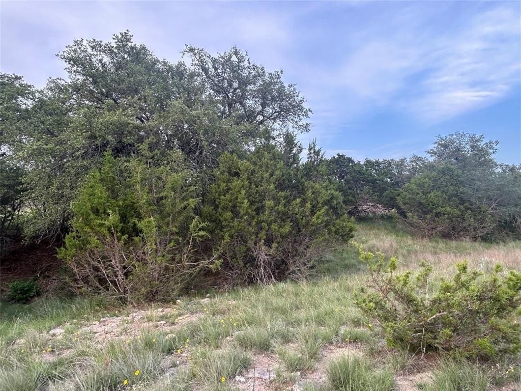 24.31 acres in Mills County - photo 17