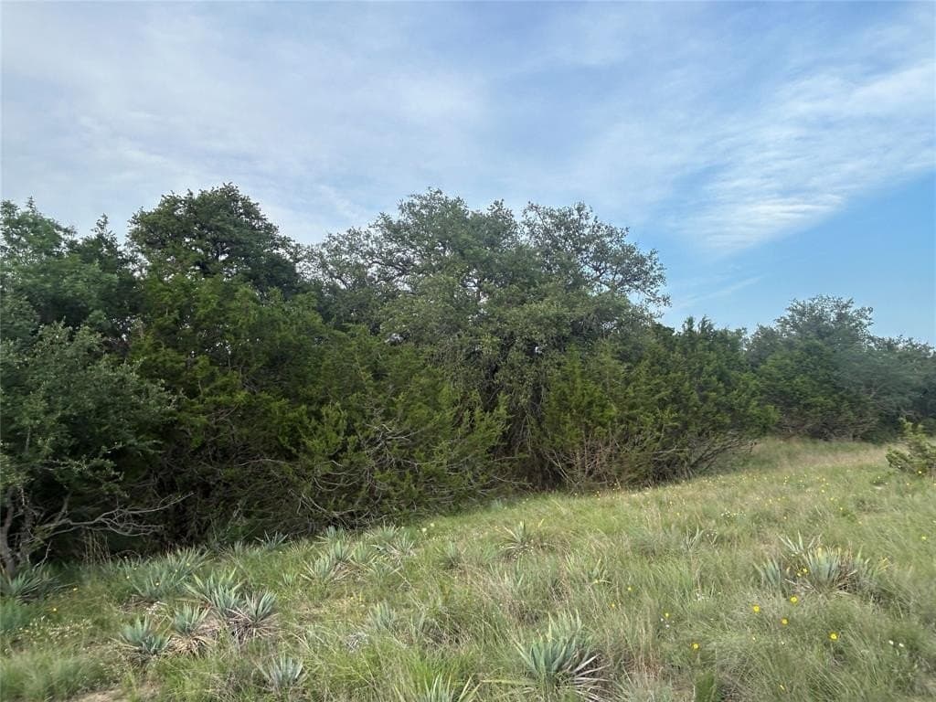 24.31 acres in Mills County - photo 18