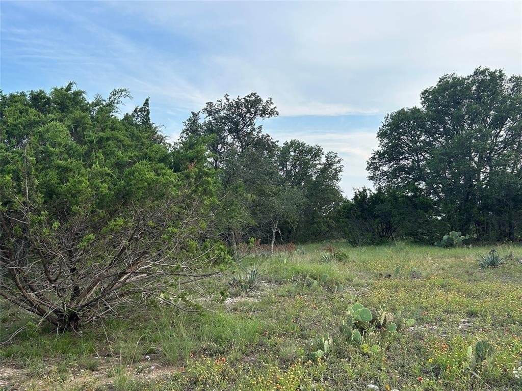 24.31 acres in Mills County - photo 16