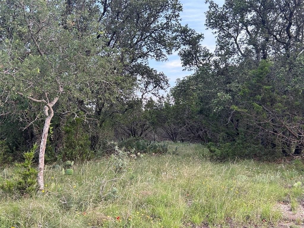 24.31 acres in Mills County - photo 14