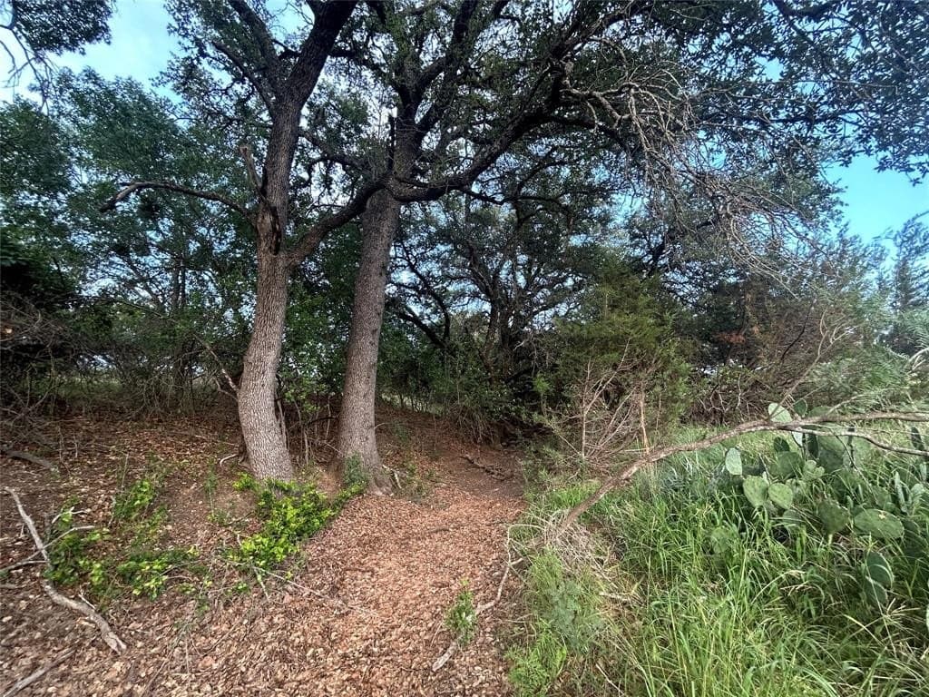 24.31 acres in Mills County - photo 10