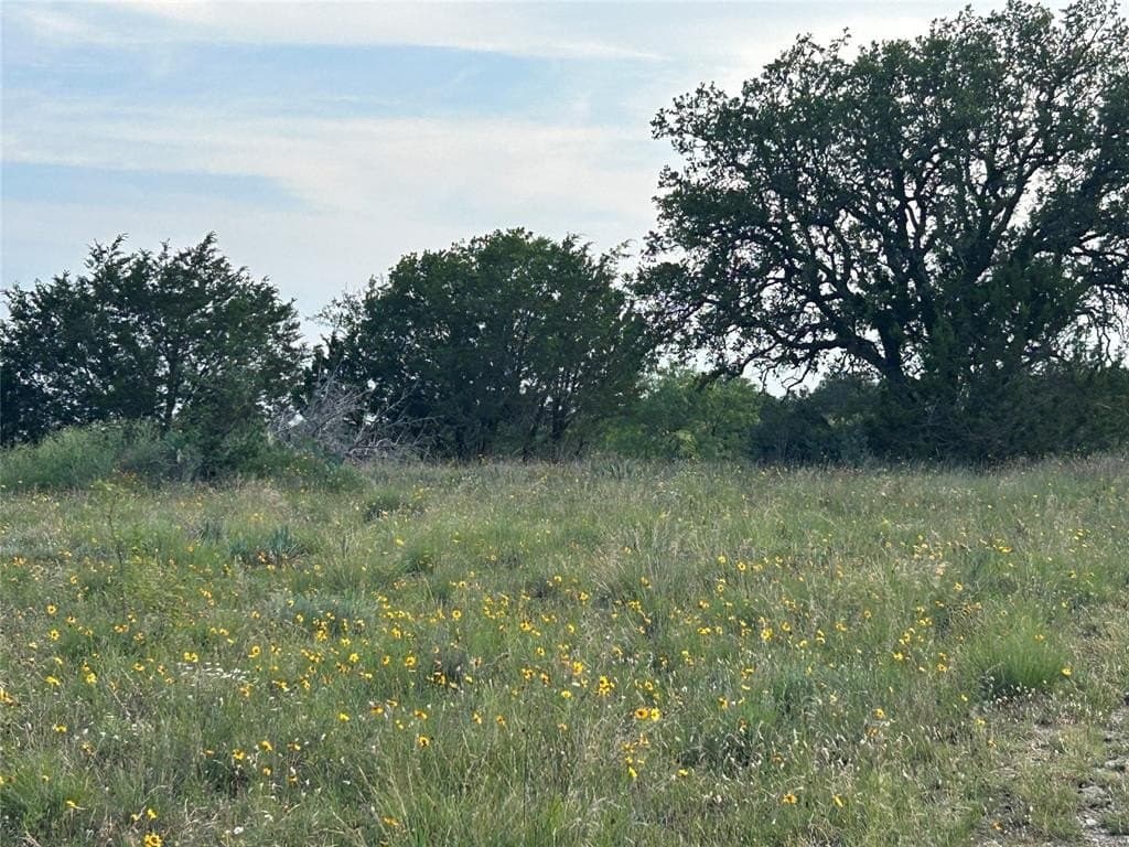 24.31 acres in Mills County - photo 7