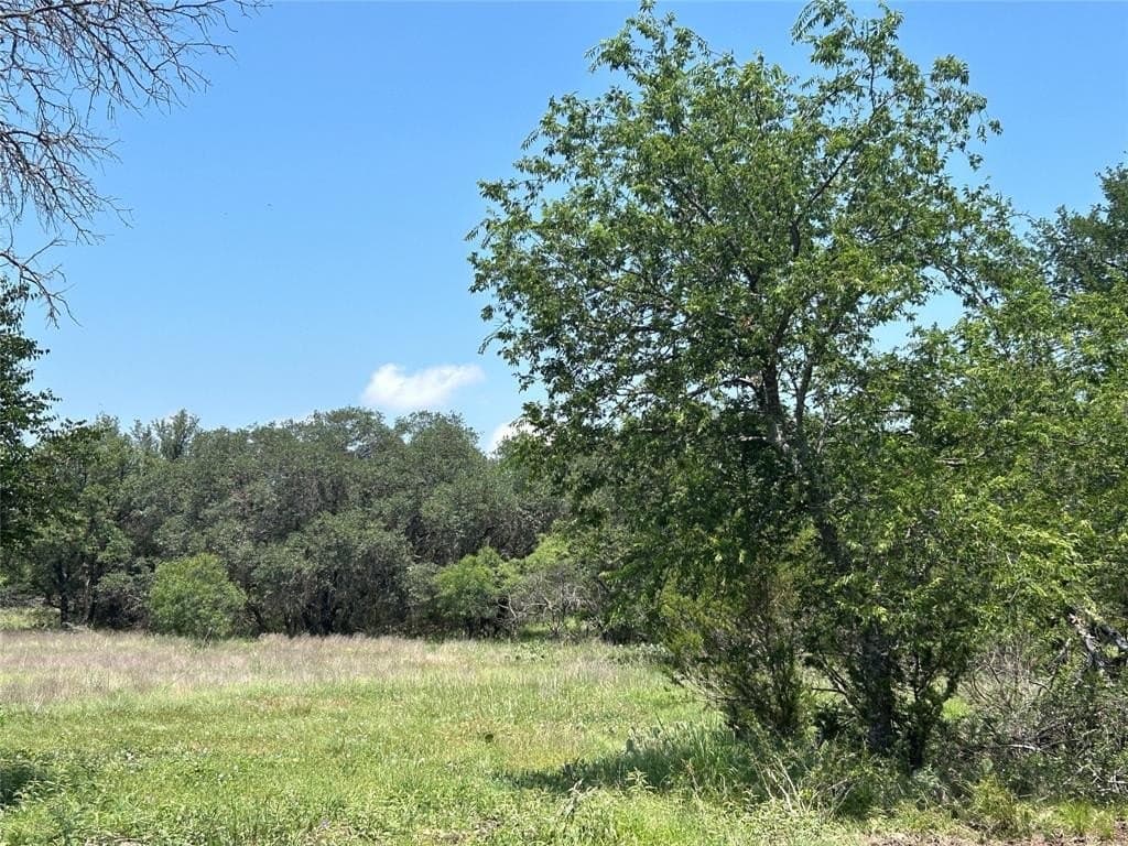 24.31 acres in Mills County - photo 4