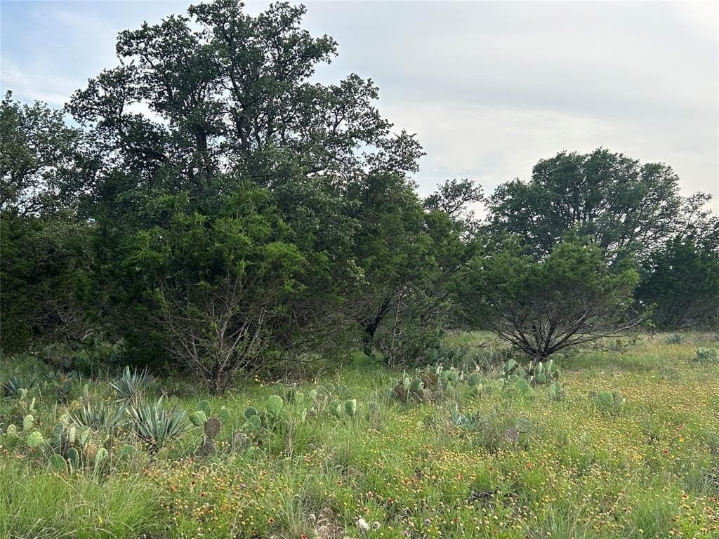 24.31 acres in Mills County - photo 15