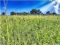 11.61 acres in Caldwell County - photo 4