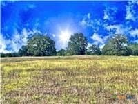 11.61 acres in Caldwell County - photo 2