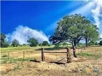 11.61 acres in Caldwell County - photo 8