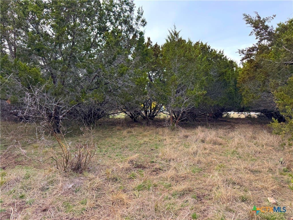 0.19 acres in Comal County - photo 2