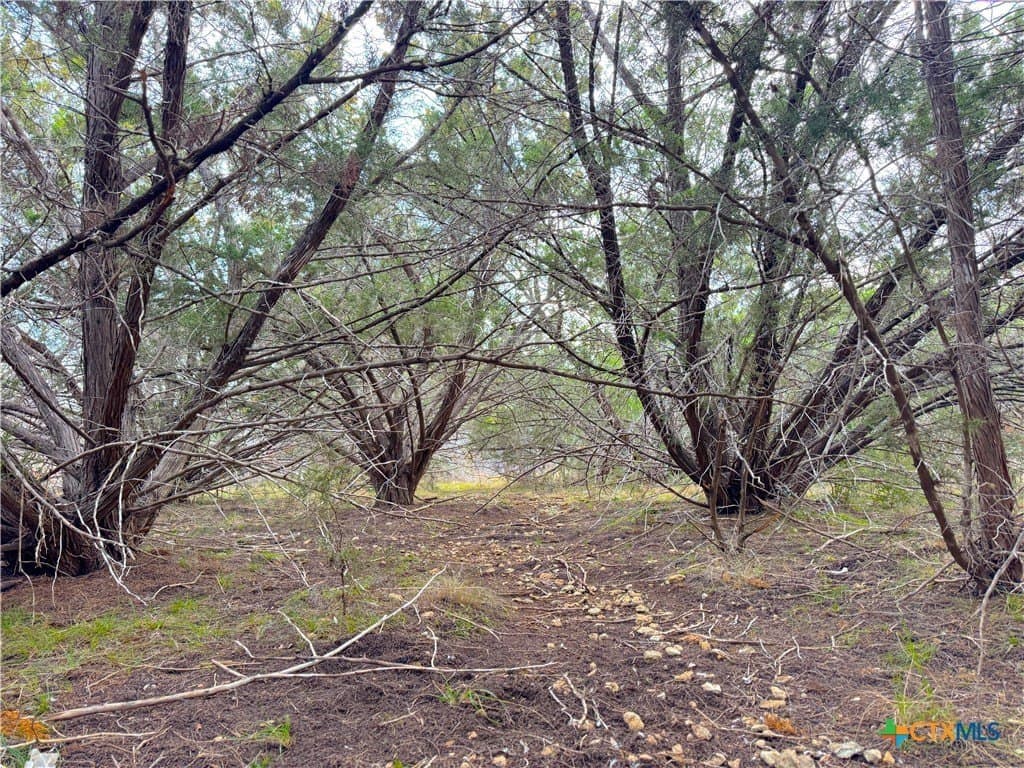 0.19 acres in Comal County - photo 6