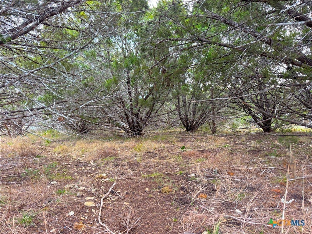 0.19 acres in Comal County - photo 8