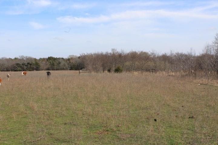 14.28 acres in Rains County - photo 3