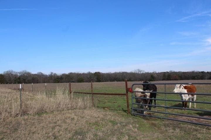14.28 acres in Rains County - photo 2