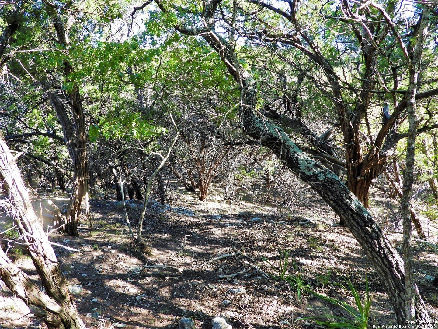 2.24 acres in Bandera County - photo 5