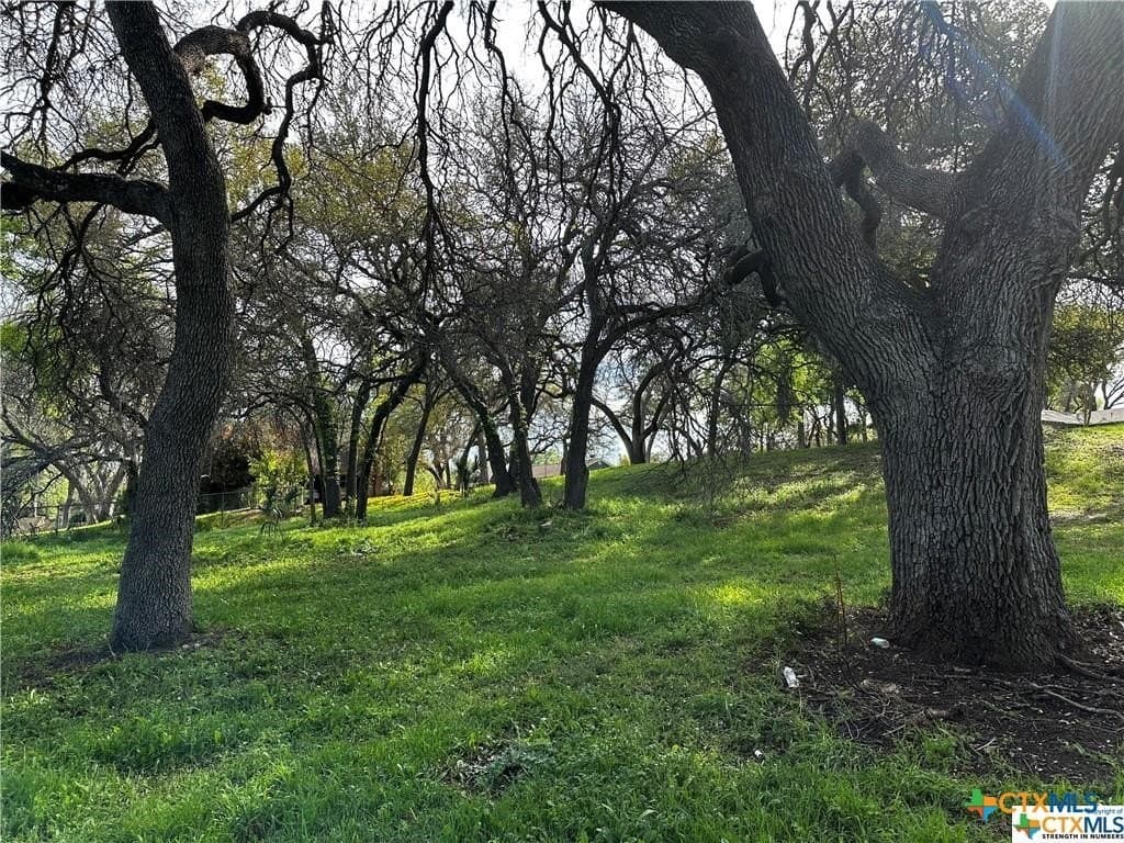 0.69 acres in Bell County - photo 4