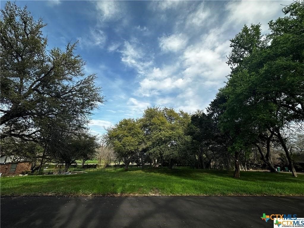 0.69 acres in Bell County - photo 9