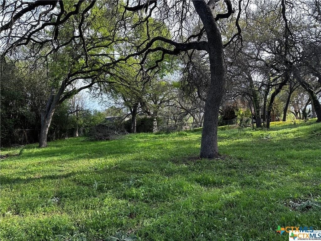0.69 acres in Bell County - photo 3