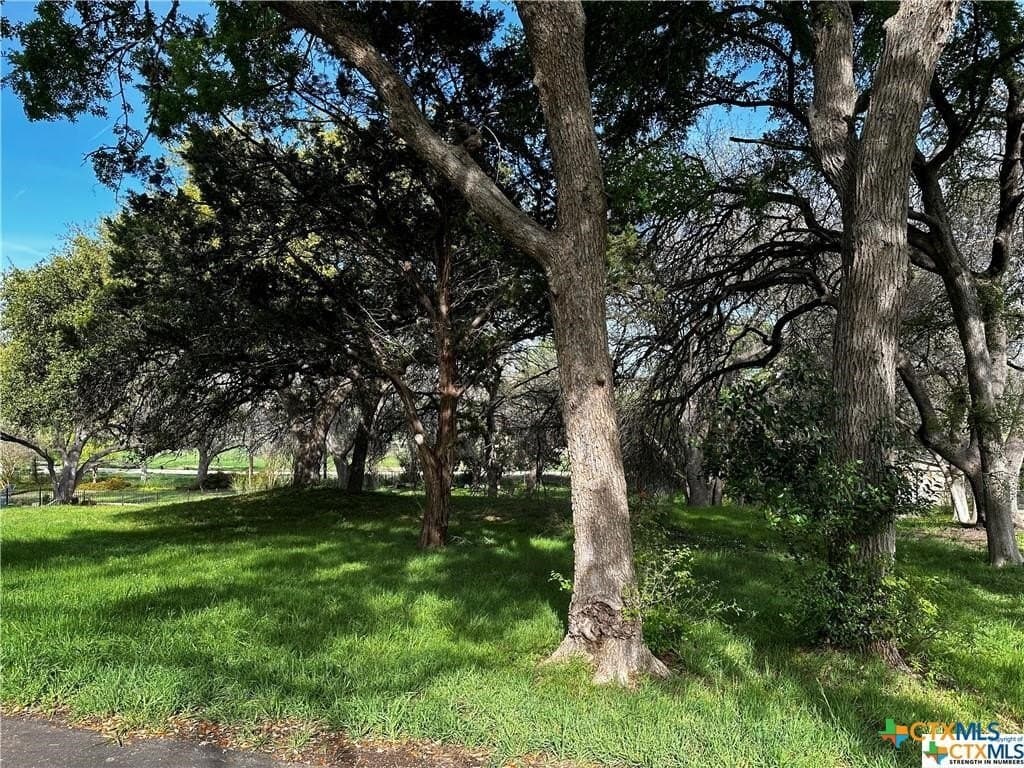 0.69 acres in Bell County - photo 7