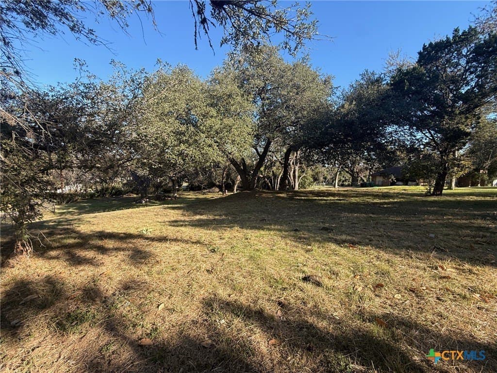 0.69 acres in Bell County - photo 19