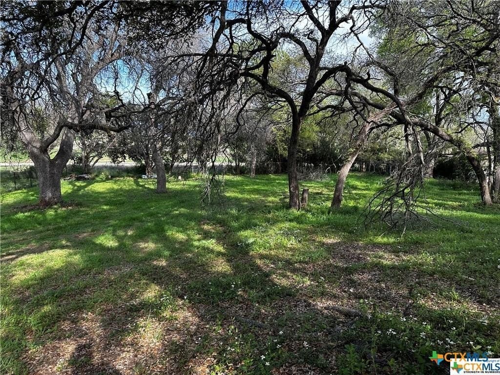 0.69 acres in Bell County - photo 6