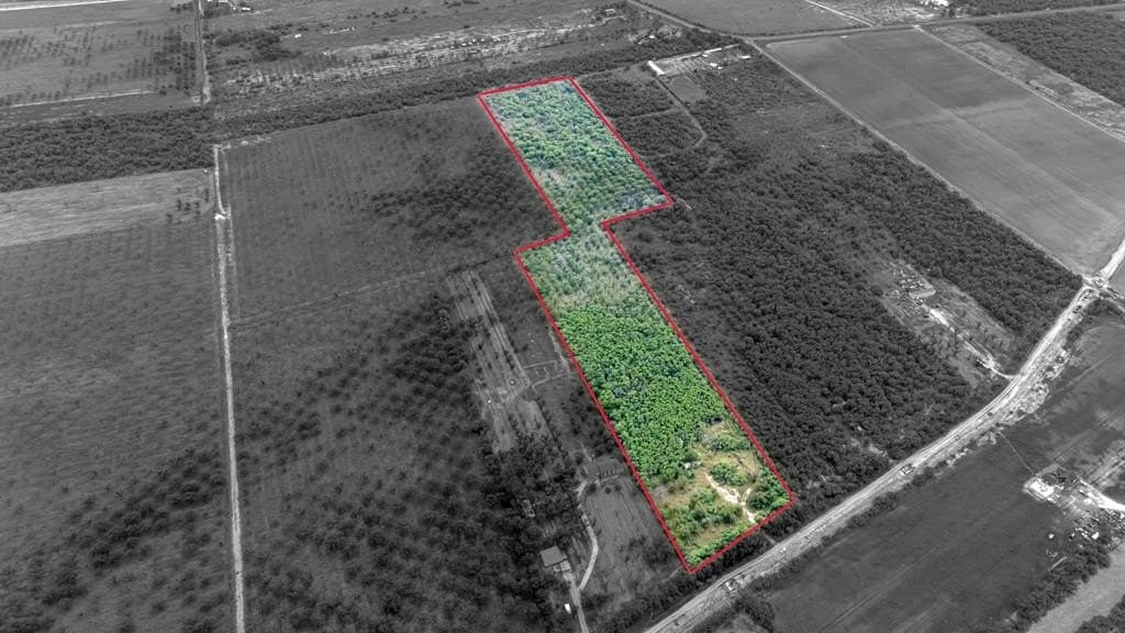 1666 FM Private Rd 100
