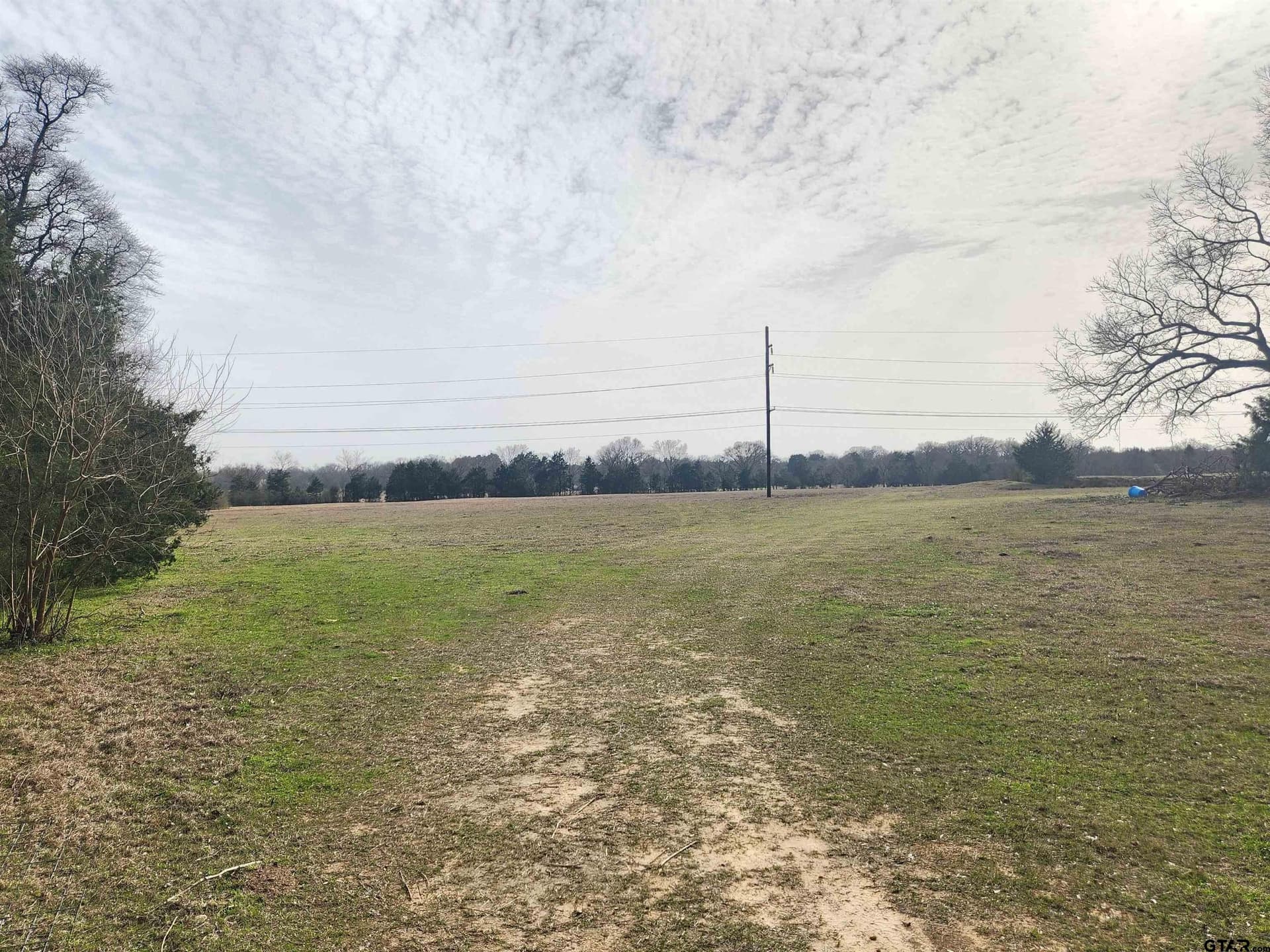14 acres in Wood County - photo 2