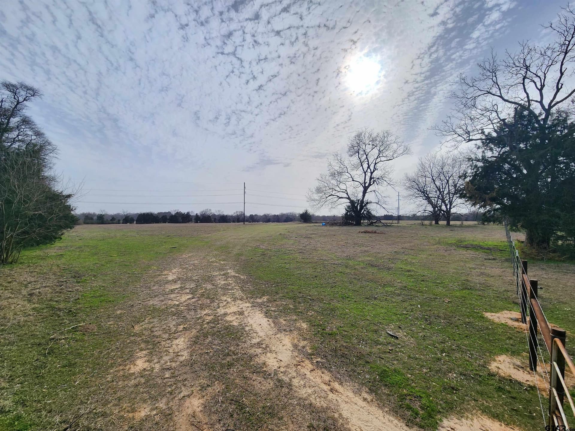 14 acres in Wood County - photo 5