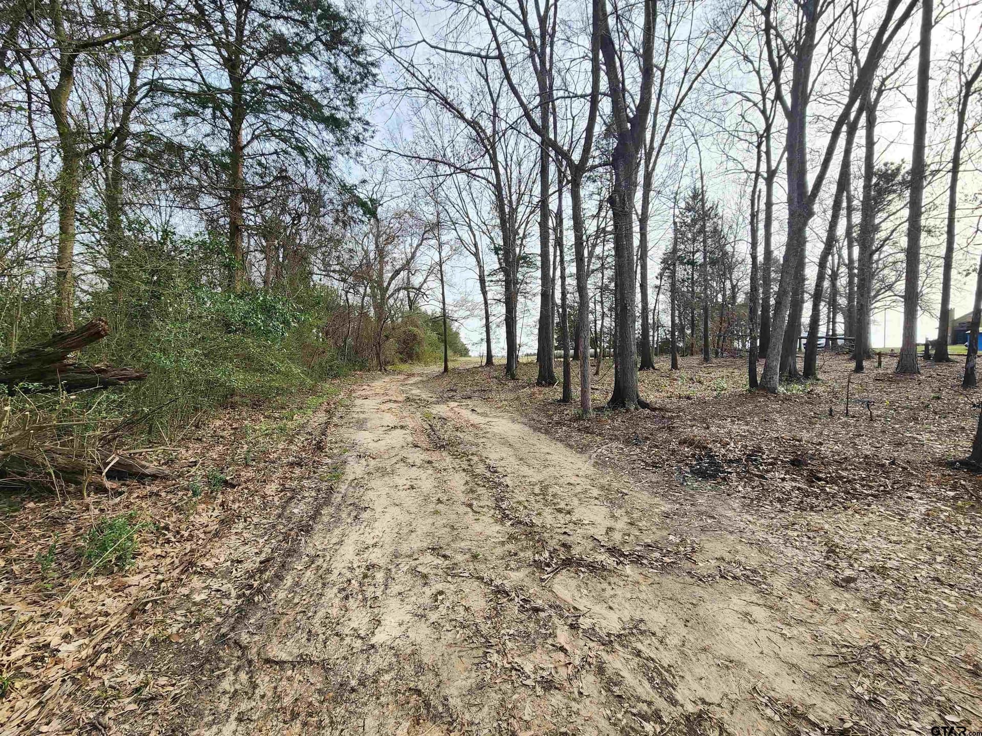 14 acres in Wood County - photo 7
